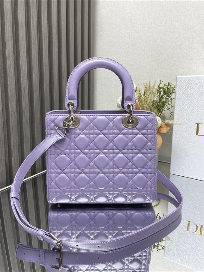 2025228Y800P211355195