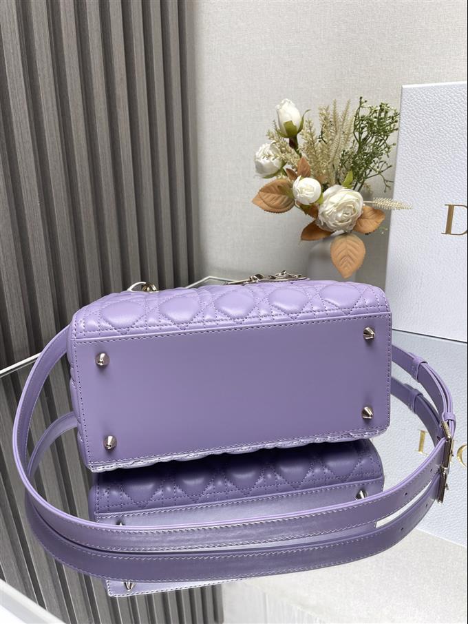 2025228Y800P211355210