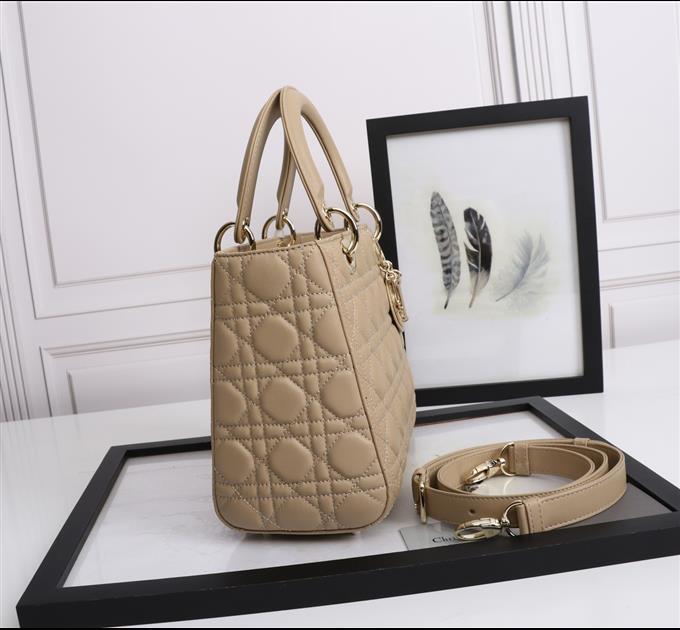 2025228Y800P212556126