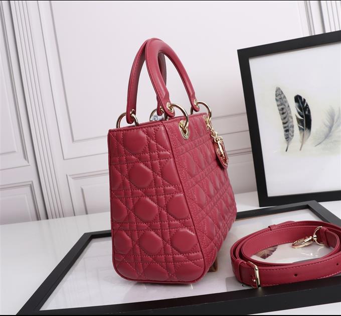 2025228Y800P212556281