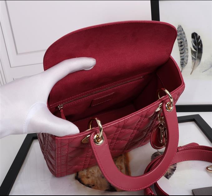 2025228Y800P212556329