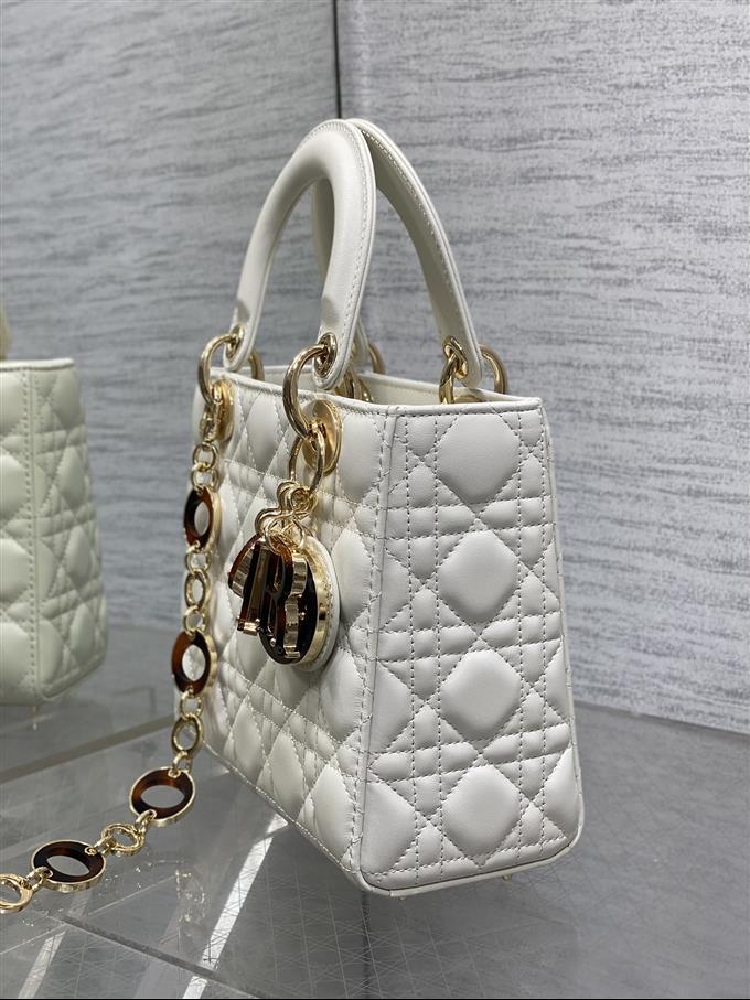 2025228Y880P222254338