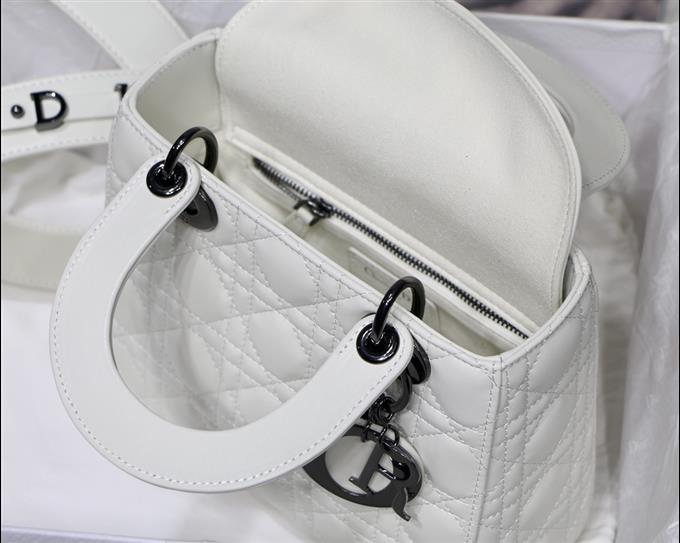 2025228Y750P222550764