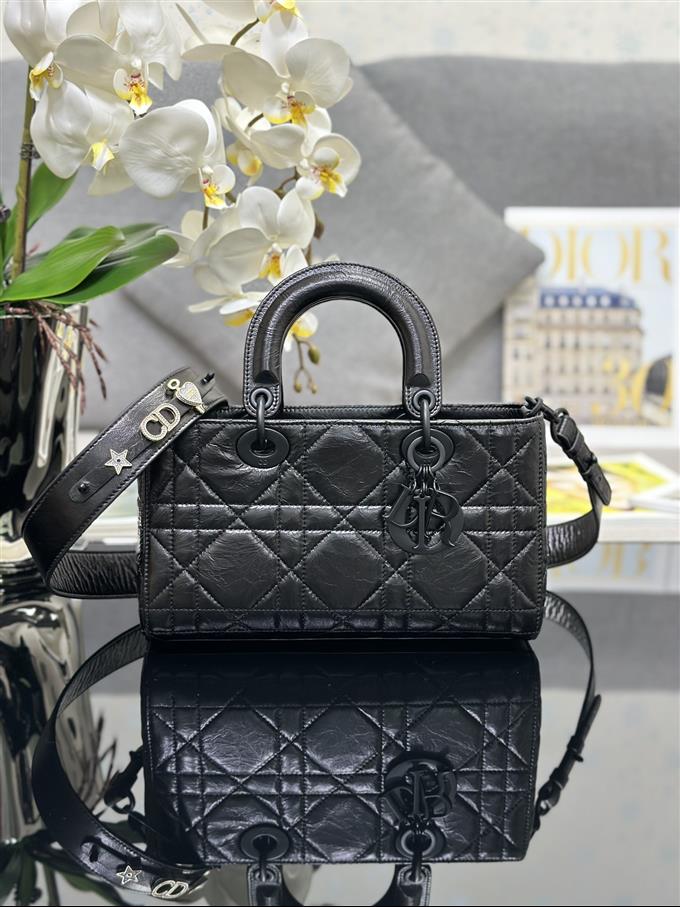 2025228Y700P222422104