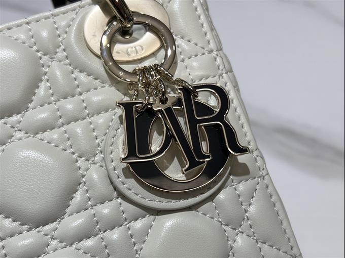 2025228Y700P222952516