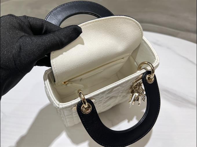 2025228Y700P222952564