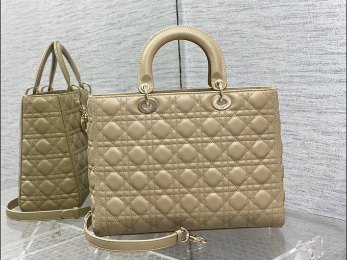 2025228Y880P205910156