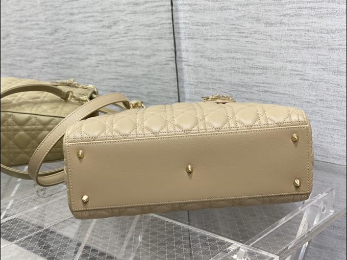 2025228Y880P205910172