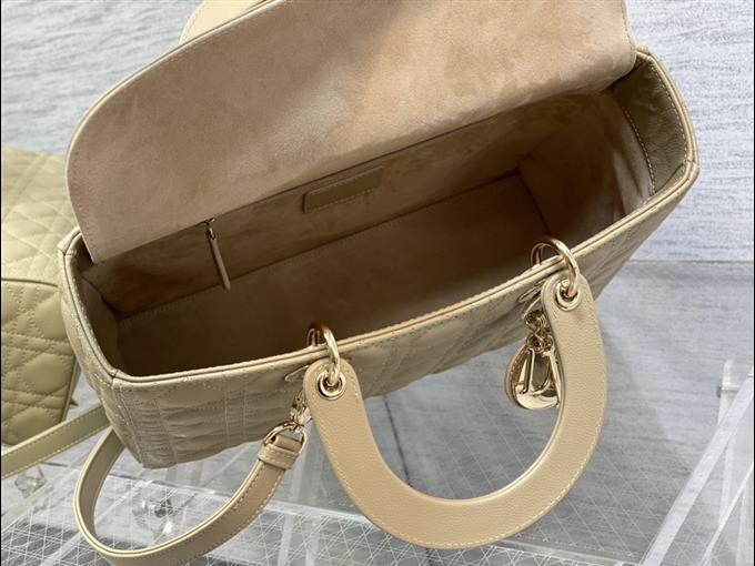 2025228Y880P205910188