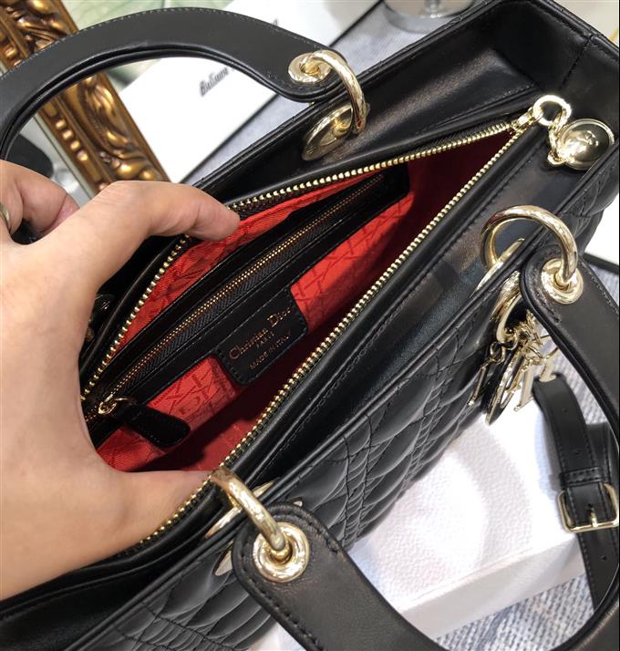 2025228Y880P205910830