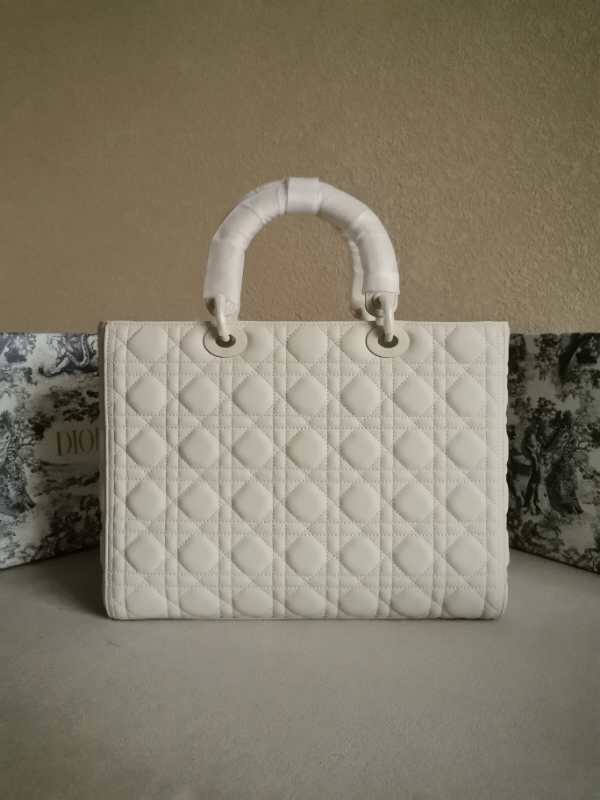 2025228Y880P20599482