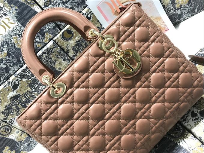 2025228Y880P21182230