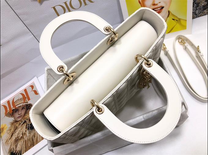 2025228Y880P211822344