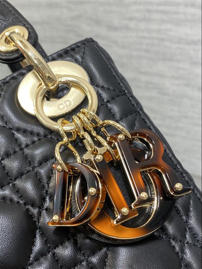 2025228Y780P222941702