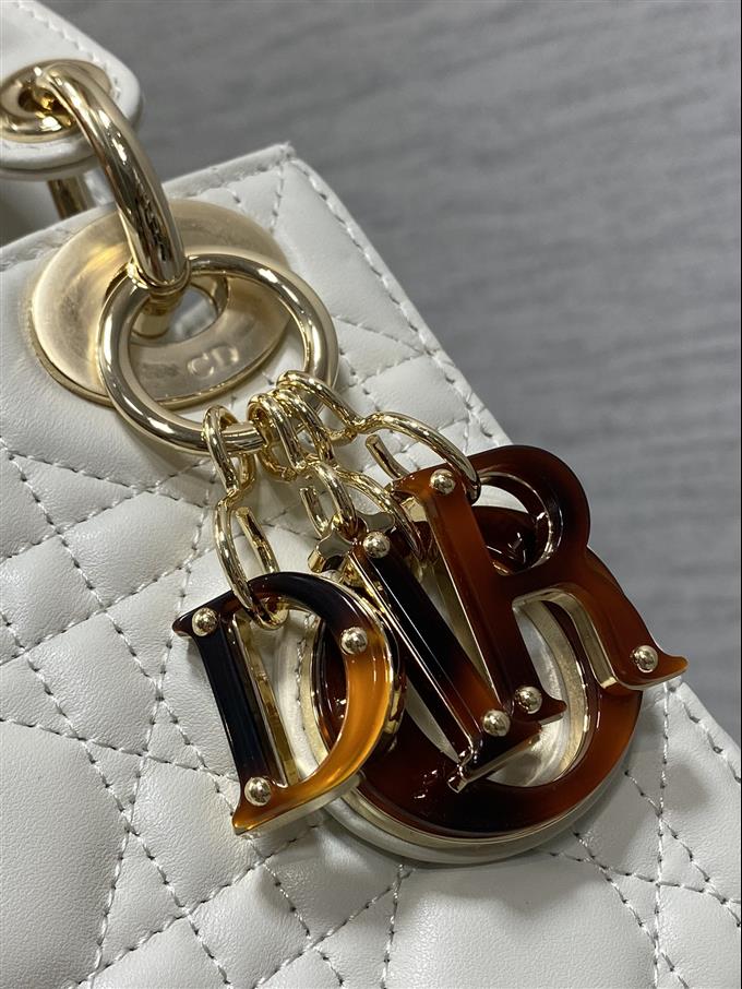 2025228Y880P222941955