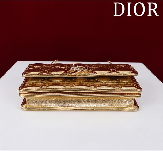 2025228Y600P212911818