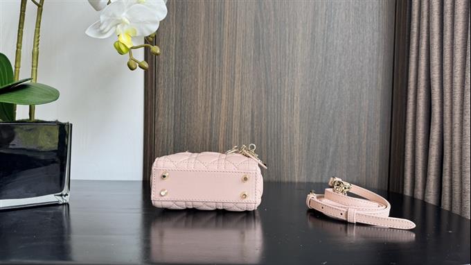 2025228Y580P212419698