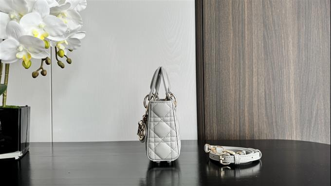 2025228Y580P212424563