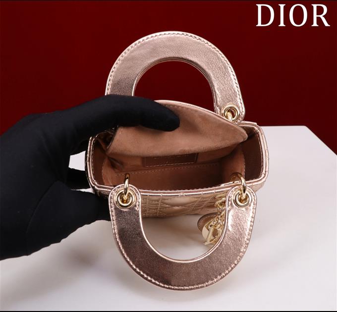 2025228Y600P212425109