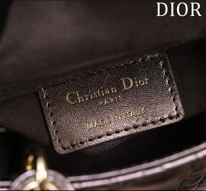 2025228Y600P21242532