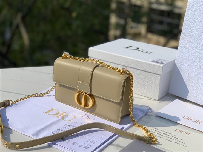 2025228Y950P204617589