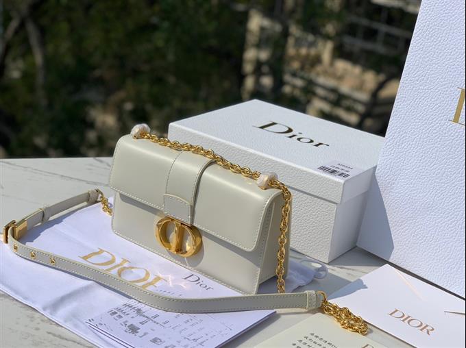 2025228Y950P204617732