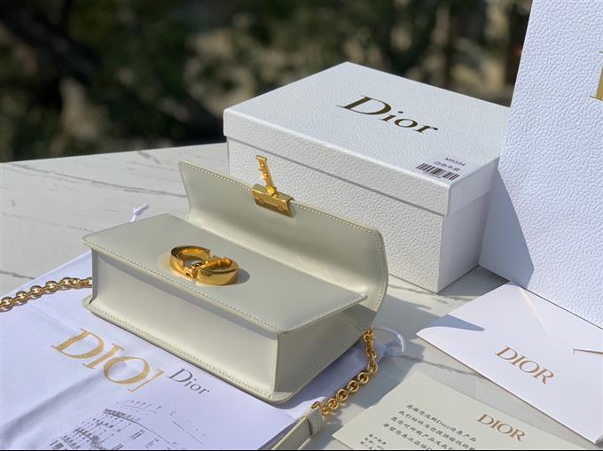 2025228Y950P204617778