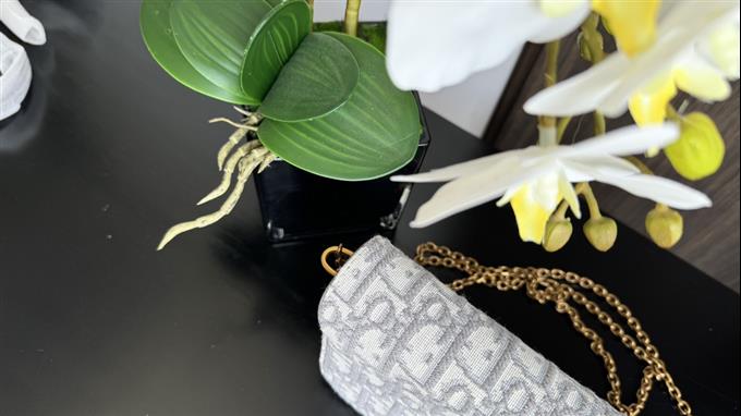 2025228Y500P21235196