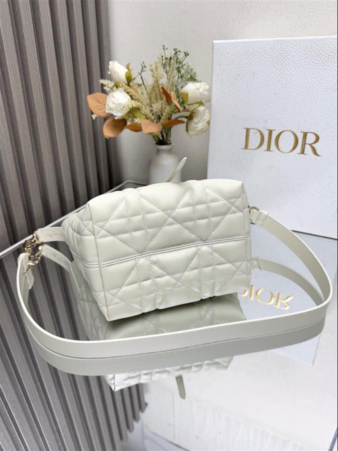 2025228Y750P212645513