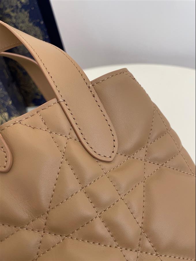 2025228Y750P212646361