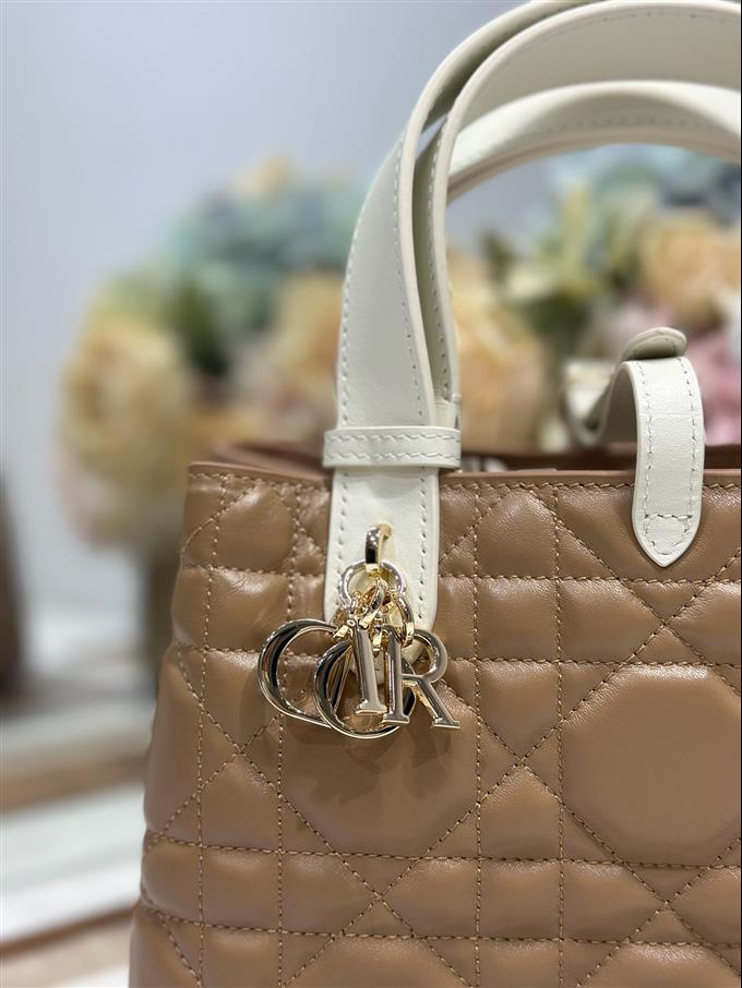 2025228Y780P212648216