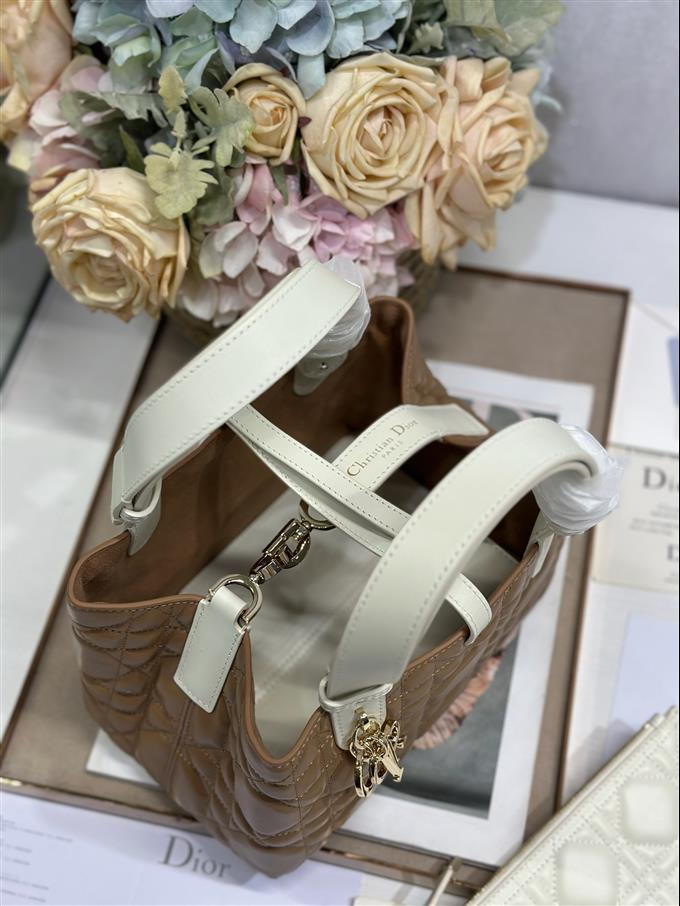 2025228Y780P212648232