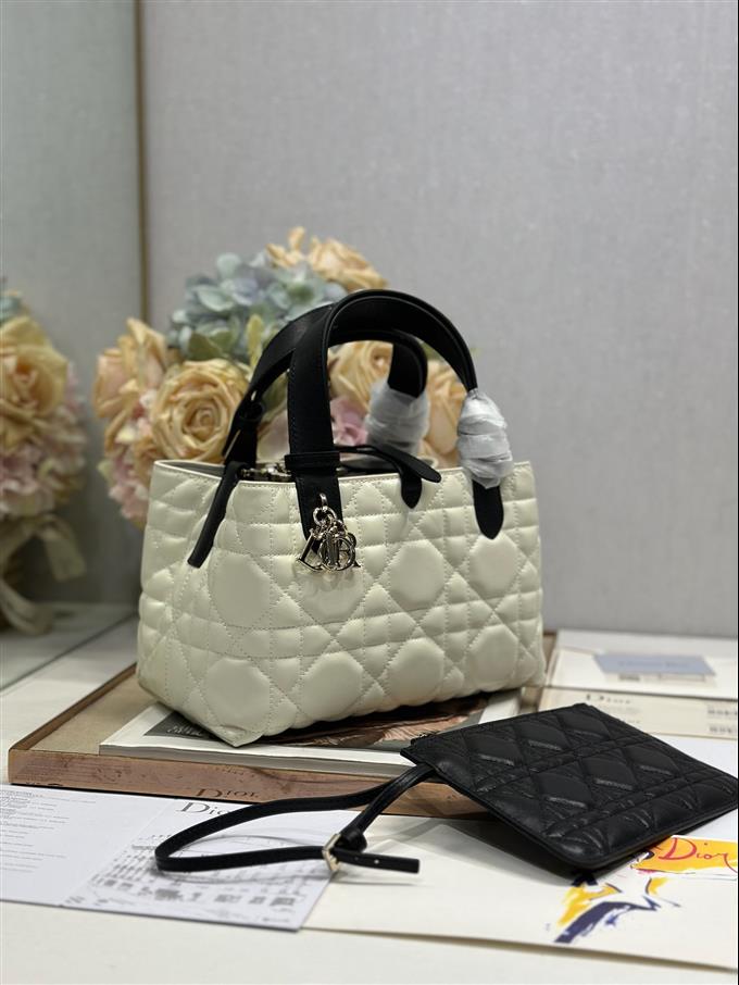 2025228Y780P212648295