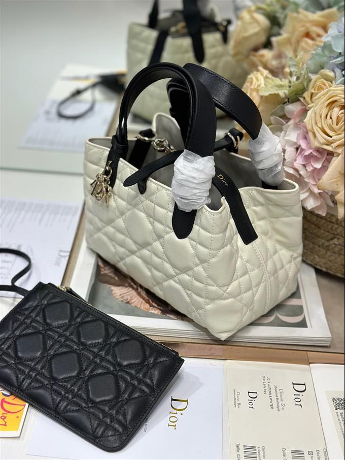 2025228Y780P212648311