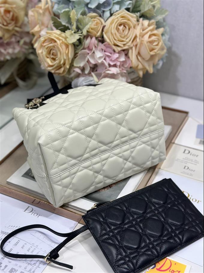 2025228Y780P212648342