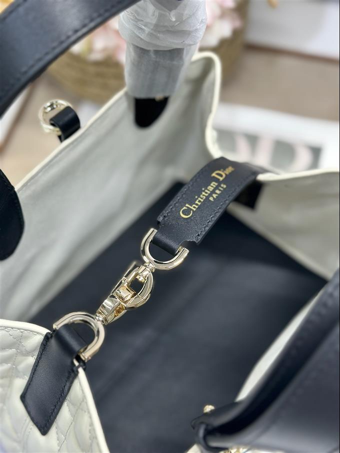 2025228Y780P212648389