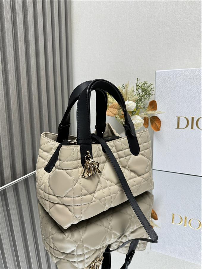 2025228Y800P212654568