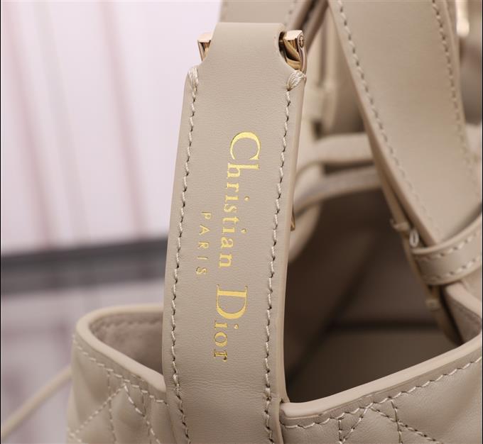 2025228Y800P212656620