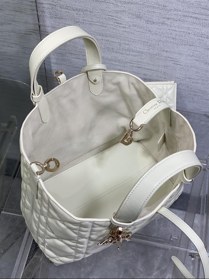 2025228Y850P212643362