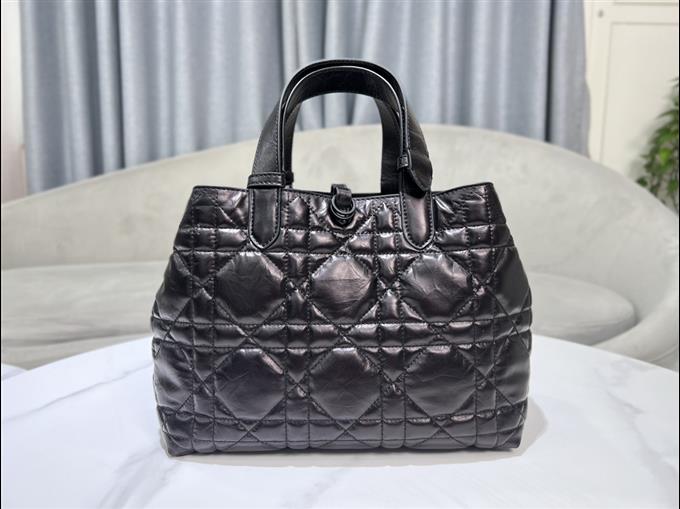 2025228Y850P212659379