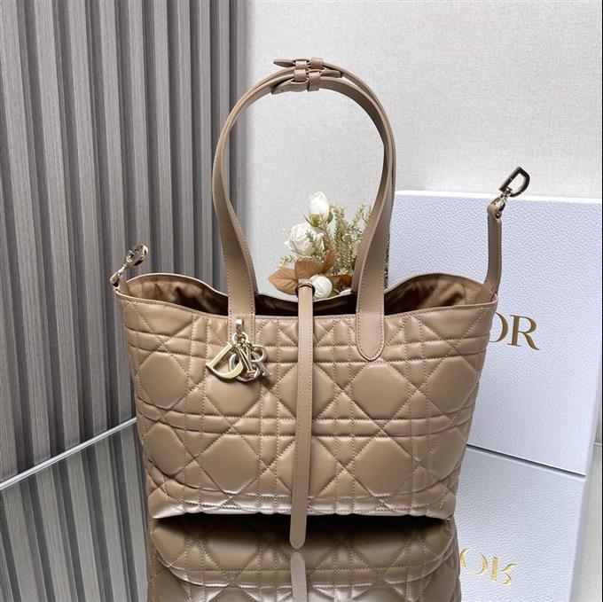 2025228Y850P212659614