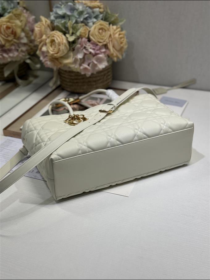 2025228Y880P21277333