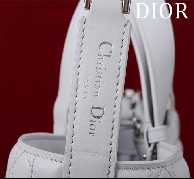 2025228Y950P212644225