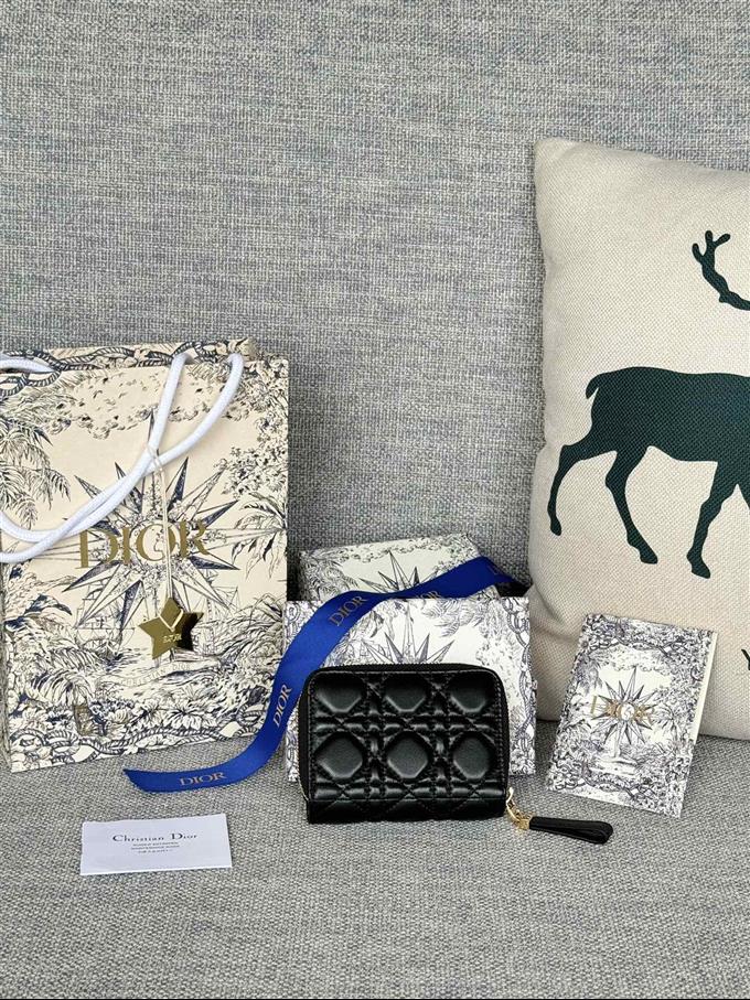 2025228Y330P203713784