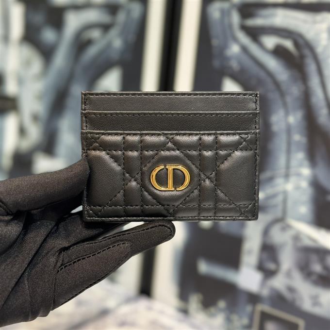 2025228Y150P203553631