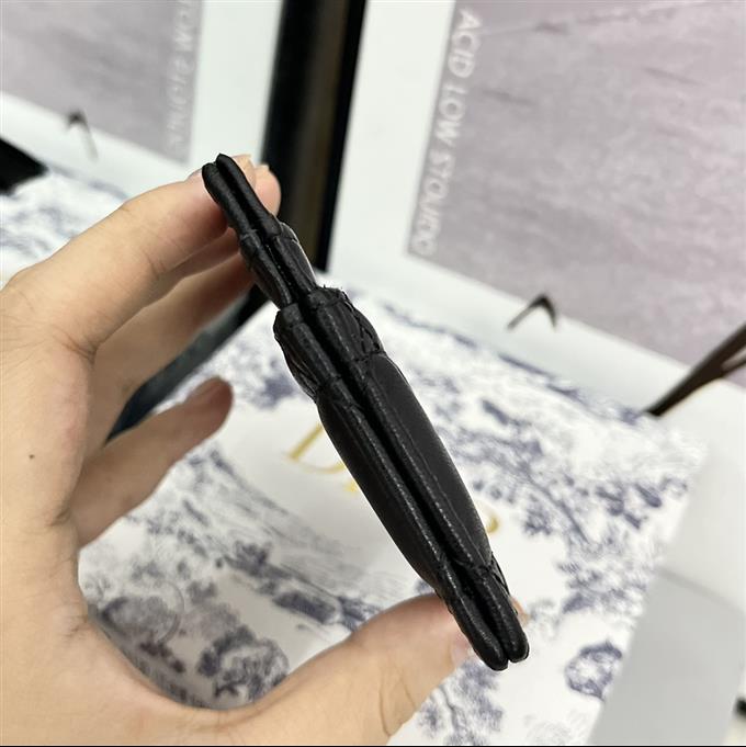 2025228Y160P203554531