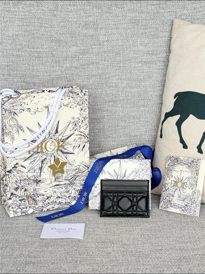 2025228Y180P203536374