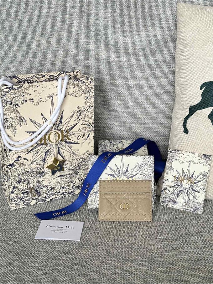 2025228Y180P203537638