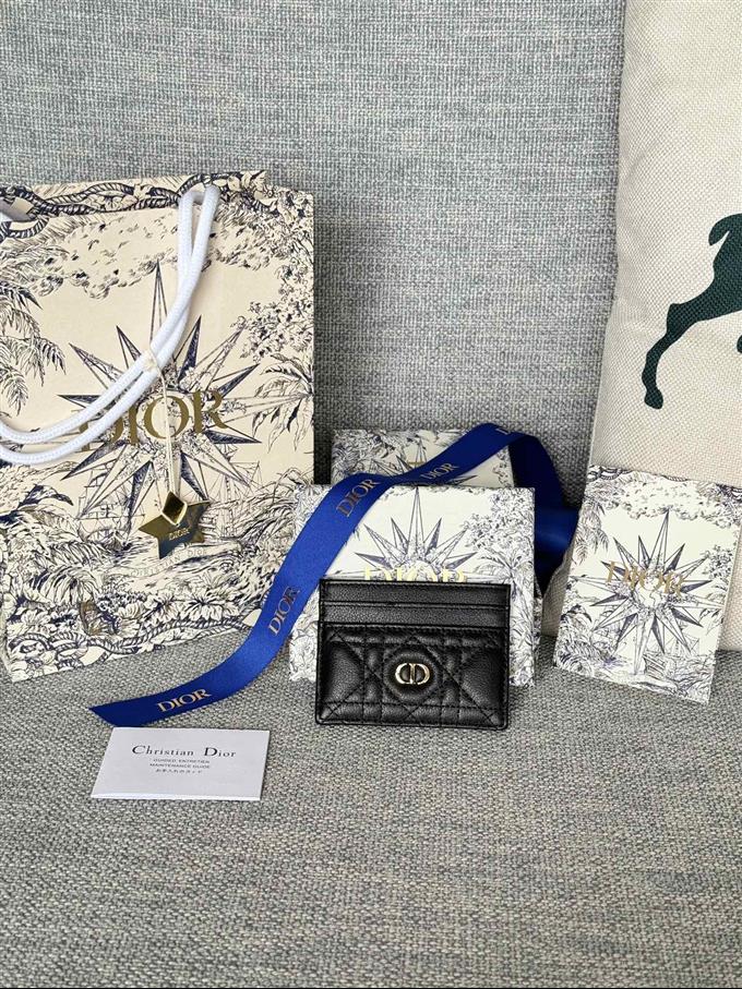 2025228Y180P203537779