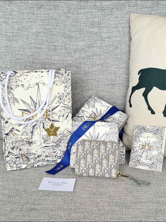 2025228Y220P182113511